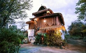 小兔子树旅舍